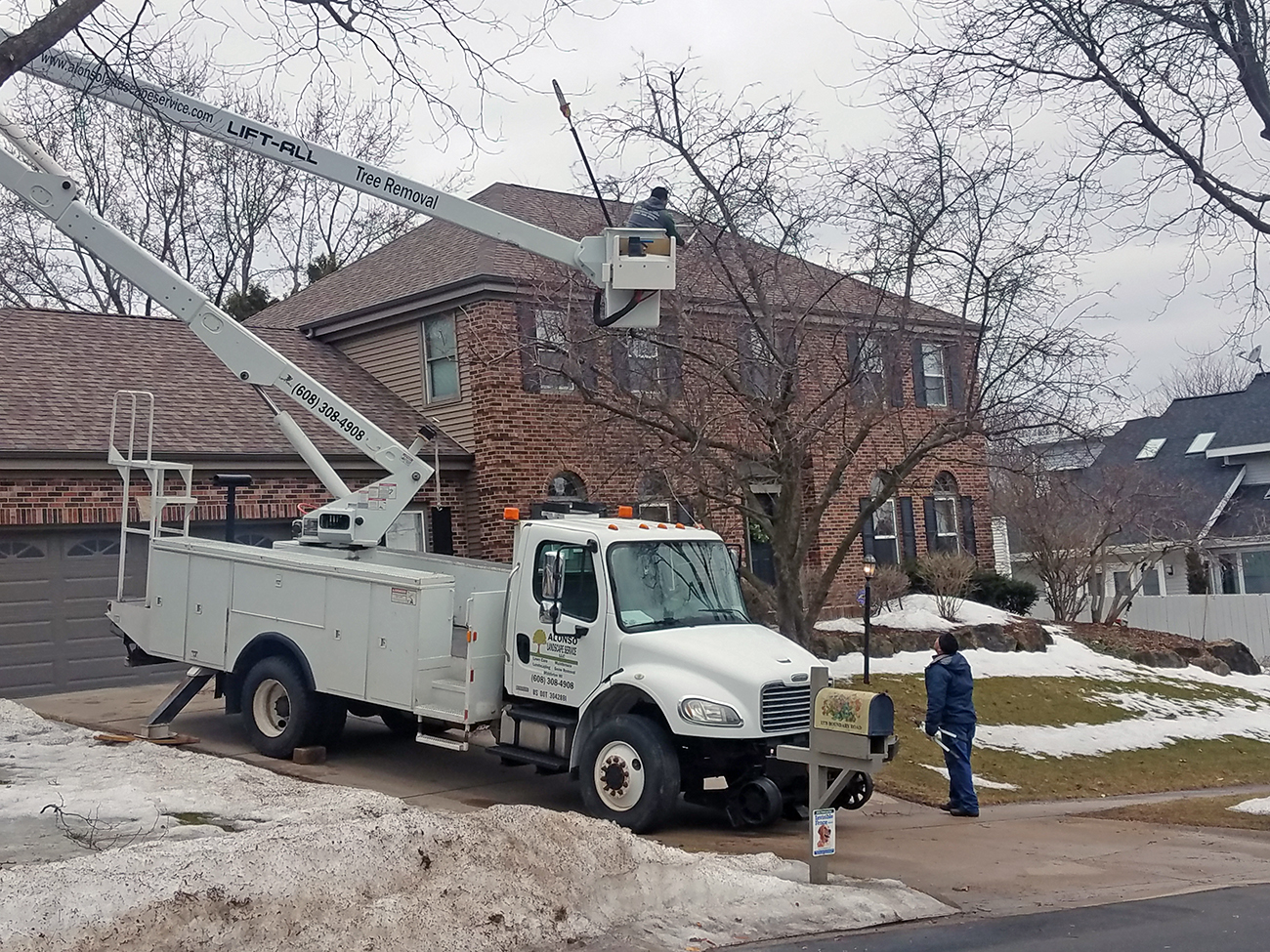 alonso landscaping and tree cutting