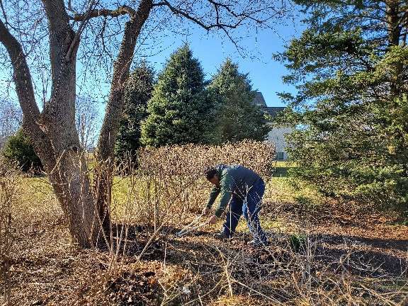 Alonso landscape services middleton wi