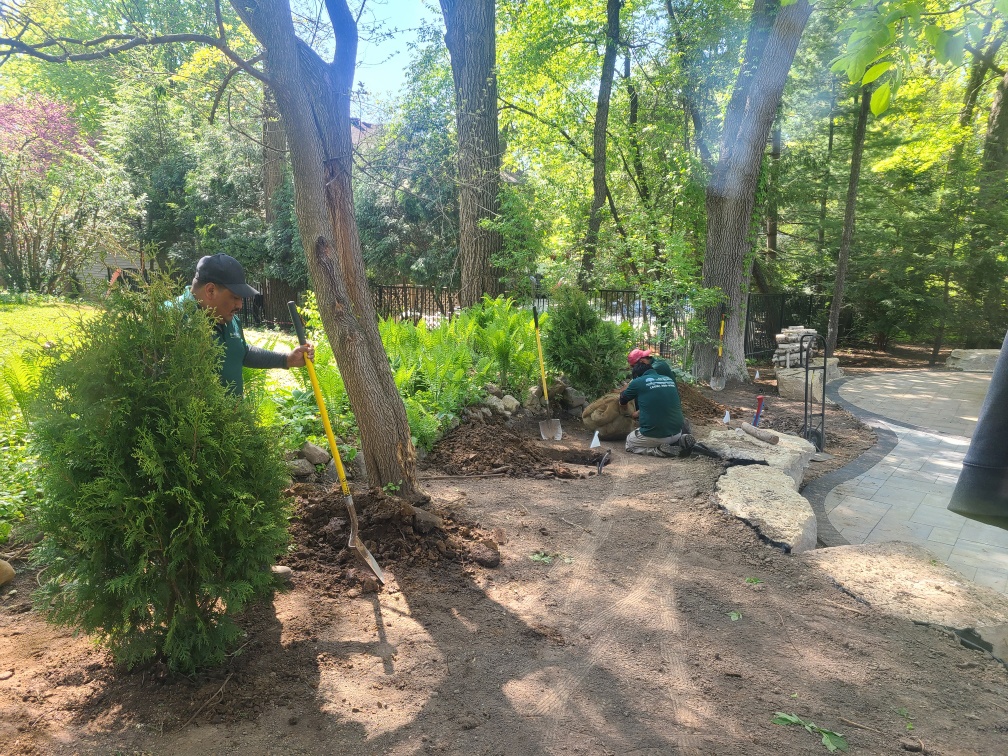 Alonso landscape services middleton wi